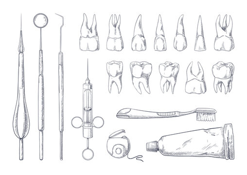 Dentist sketch. Hand drawn stomatology equipment vintage engraving with different teeth types. Toothpaste and toothbrush. Dental floss. Medical instruments. Vector dentistry tools set