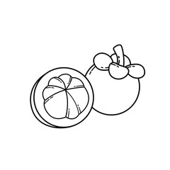 mangosteen fruit outline vector design