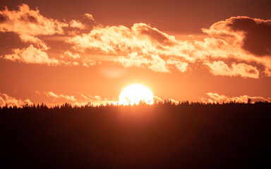 Close up of the sun surrounding by clouds setting behind the forest