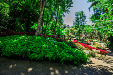 The natural background of colorful flower beds, with chairs to sit and rest while watching the...