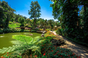 The natural background of colorful flower beds, with chairs to sit and rest while watching the scenery, the wind blows through the blur, cool and comfortable.