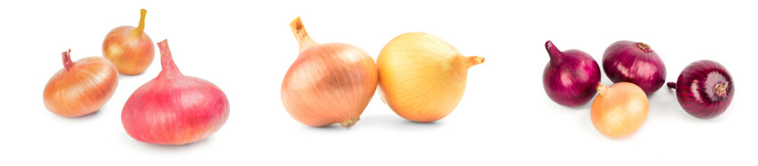 Collage of Onion isolated on a white background cutout