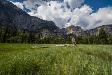 Fototapeta na wymiar Yosemite Falls from Yosemite Valley, California