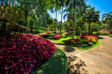 The natural background of colorful flower beds, with chairs to sit and rest while watching the scenery, the wind blows through the blur, cool and comfortable.