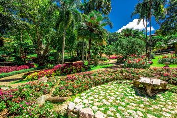 The natural background of colorful flower beds, with chairs to sit and rest while watching the scenery, the wind blows through the blur, cool and comfortable.