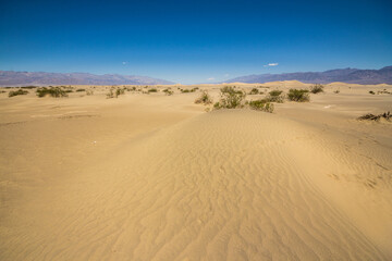 Fototapeta na wymiar Mesquite dunes in Death Valley, California, USA.