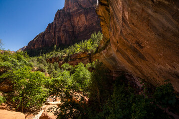 Rim above Lower Emerald Pools in Fall in Zion National Park Utah