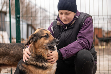 Girl volunteer in the nursery for dogs. Shelter for stray dogs.