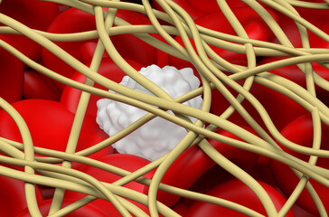 Blood clot. The red blood cells and a white blood cell are trapped in filaments of fibrin protein. closeup view 3d illustration
