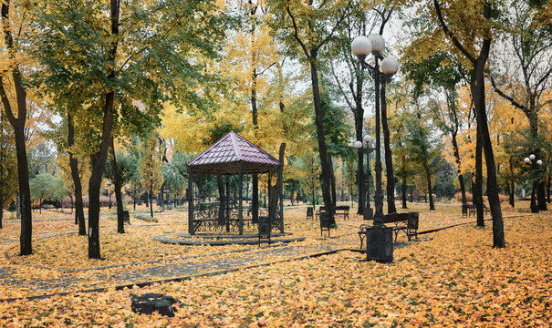 Gazebo in the city park in autumn 