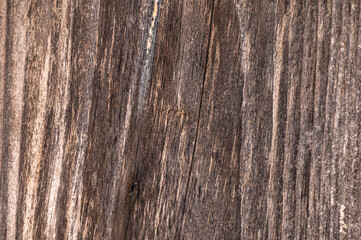 Obraz premium Old wood plank texture background