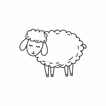 Hand drawing cute sheep. Farm animal. Black and white image.