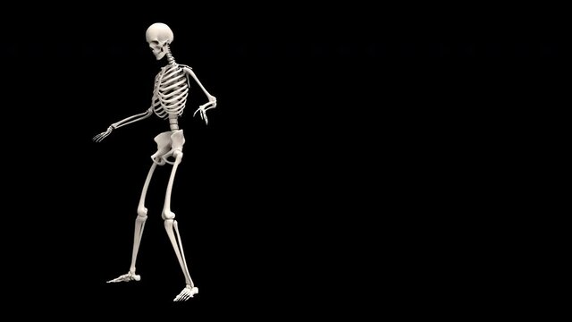 Skeletons Dancing – 3d render looped with alpha channel.