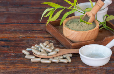 Andrographis Paniculata herbal capsules