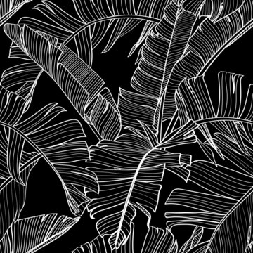 Botanical seamless pattern, hand drawn line art banana leaves on black. Printable wallpaper or textile illustration.