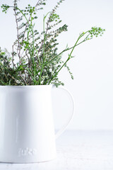 Fresh herbs in a white jug