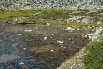 Sunny beautiful scenery with grasses on rocks near water edge of mountain lake in sunlight. Scenic landscape with mountain flora near edge of glacial lake. Stony bottom in clear water of glacier lake.