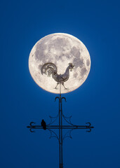 Vollmond über der Kirchturmspitze der Ingelheimer Burgkirche