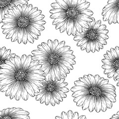 Kamille bloem grafisch zwart wit naadloze patroon achtergrond schets illustratie vector