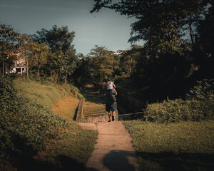 Obraz premium walk in the woods