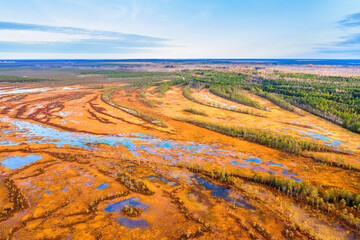 Autumn landscape. West Siberian Plain. Aerial view. Endless forests and swamps of Siberia.