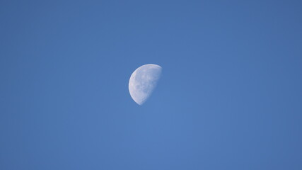 朝に見えた半月の写真