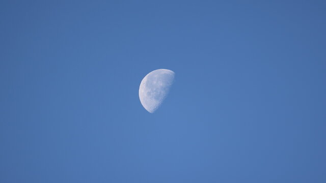 10,183 件の最適な 半月 画像、ストック写真、ベクター Adobe Stock