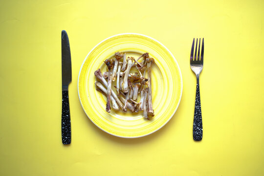 top view of plate after eating on yellow background 