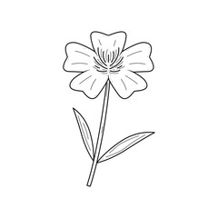 Abstract Hand Drawn Flower Buttercup Plant Botanic Floral Nature Bloom Doodle Concept Vector Design Outline Style On White Background Isolated