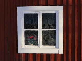 weiße Fenster an typisch rotem Schwedenhaus