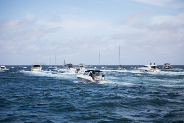 Fototapeta premium Yacht race