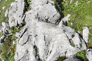 Mountain stone on the field