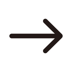 Arrow icon. Arrow symbol. Arrow icon for your web design symbol