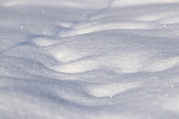 An untouched patch of snow in the forest