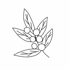Christmas outline plant decorative branch with leaves and berries for home decor, festive holiday arrangement, vector illustration for seasonal greeting card, invitation, banner