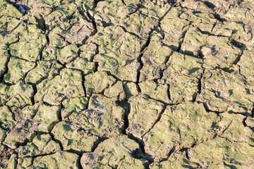 Dry river bed. Empty dry river bed with cracked ground. Global warming concept. Flat desert plain landscape, dried up reservoir, barren earth shattering