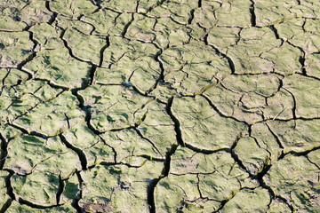 Dry river bed. Empty dry river bed with cracked ground. Global warming concept. Flat desert plain landscape, dried up reservoir, barren earth shattering