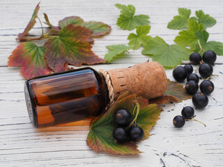 Essential oil, black currant berries with leaves on a white wooden table, flat layout. Useful fruit plant ribes nigrum  for use in alternative herbal medicine, homeopathy and cosmetology