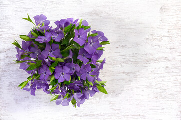 Bouquet blue violet flowers periwinkle on a white table with space for text. Top view, flat lay