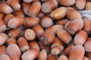 Group of hazelnuts. A pile of hazelnuts. Food background. Hazelnut background.