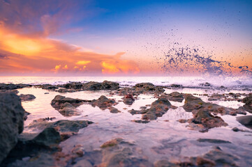 magical paradise beach of the Caribbean sea