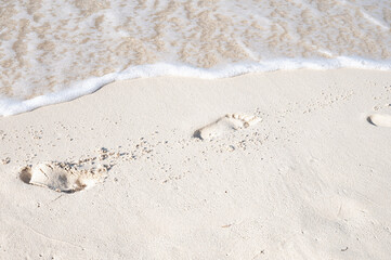 magical paradise beach of the Caribbean sea