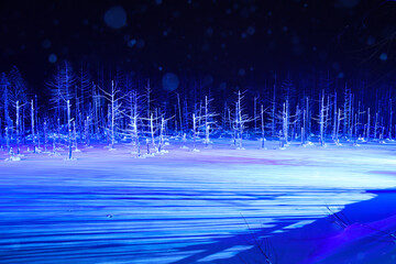 【北海道美瑛町】冬の青い池の風景　ライトアップ