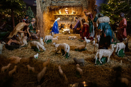Nativity scene placed in church