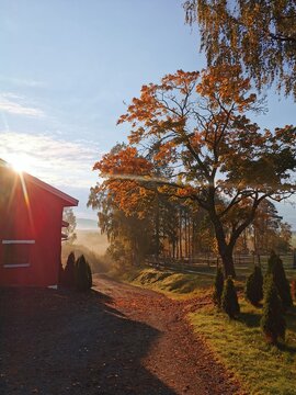 autumn in the park