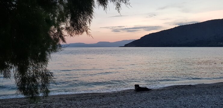 sunset on the beach