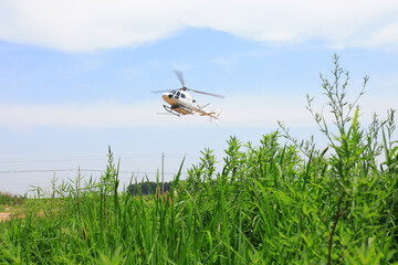 Agricultural helicopters loaded with insecticides fly in the sky, China