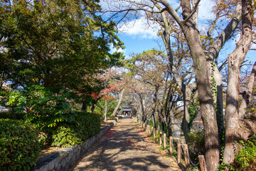 footpath in the park