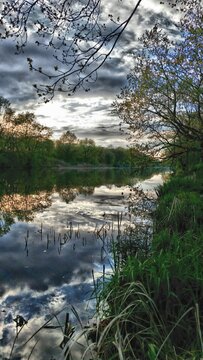 river in the forest