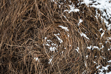 Haystack with snow close up